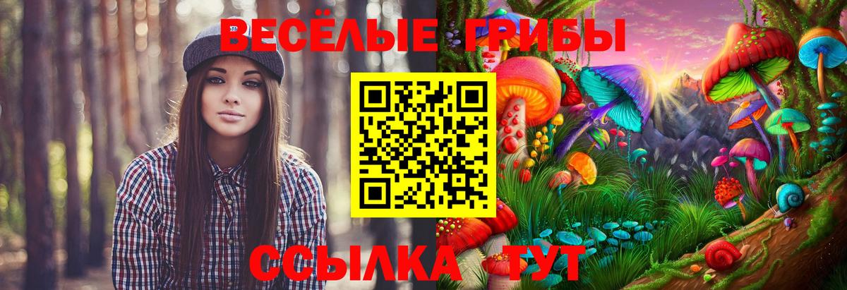 Подольск  Галлюциногенные грибы Psilocybine cubensis  наркошоп  Вход с VPN 